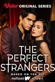 The Perfect Strangers: Season 1